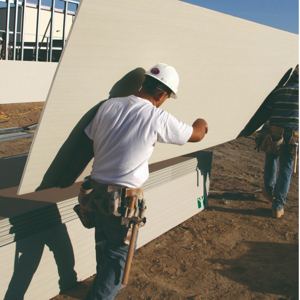 Sub image of Poplar Interior Ply  number 2 in the gallery of images
