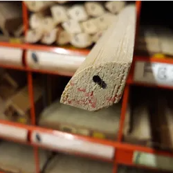 Sub image of Pine Quadrant 2400mm  number 2 in the gallery of images